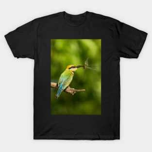 Rainbow Bee-Eater, Northern Territory T-Shirt